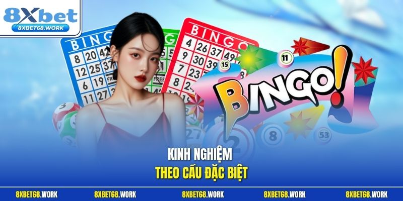 Kinh nghiệm theo cầu đặc biệt