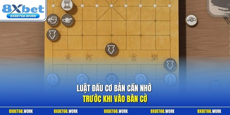 Luật đấu cơ bản cần nhớ trước khi vào bàn cờ